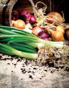Edible Heirloom Alliums Image